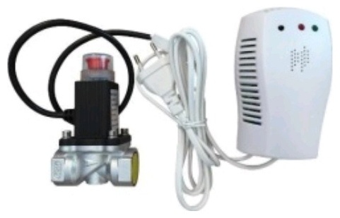 СИГНАЛИЗАТОР ЗАГАЗОВАННОСТИ CASELA 41002 DN20